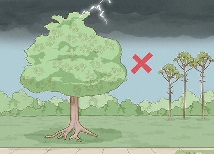 3-qadam't stand near trees or tall isolated objects.