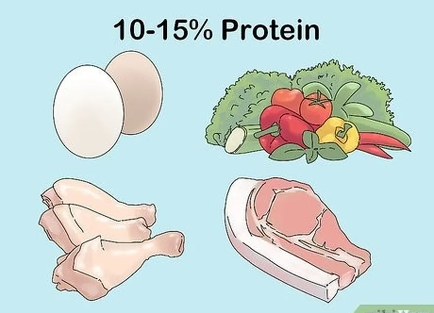 2-qadam har kuni kaloriyalarning 10-15% uchun proteinni iste'mol qiling.