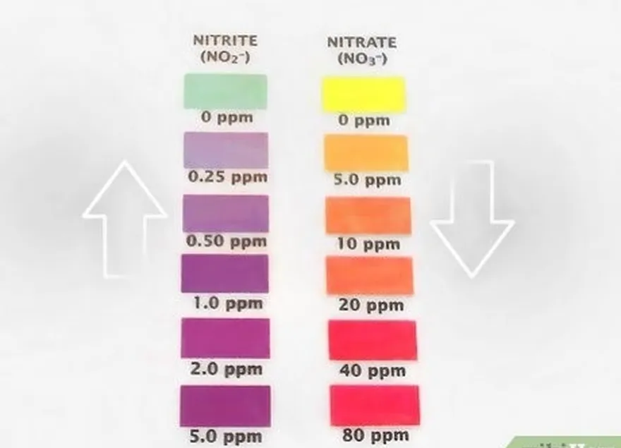 6-qadam nitritlarning keskin pasayishini va nitratlarning ko'payishini kuting.