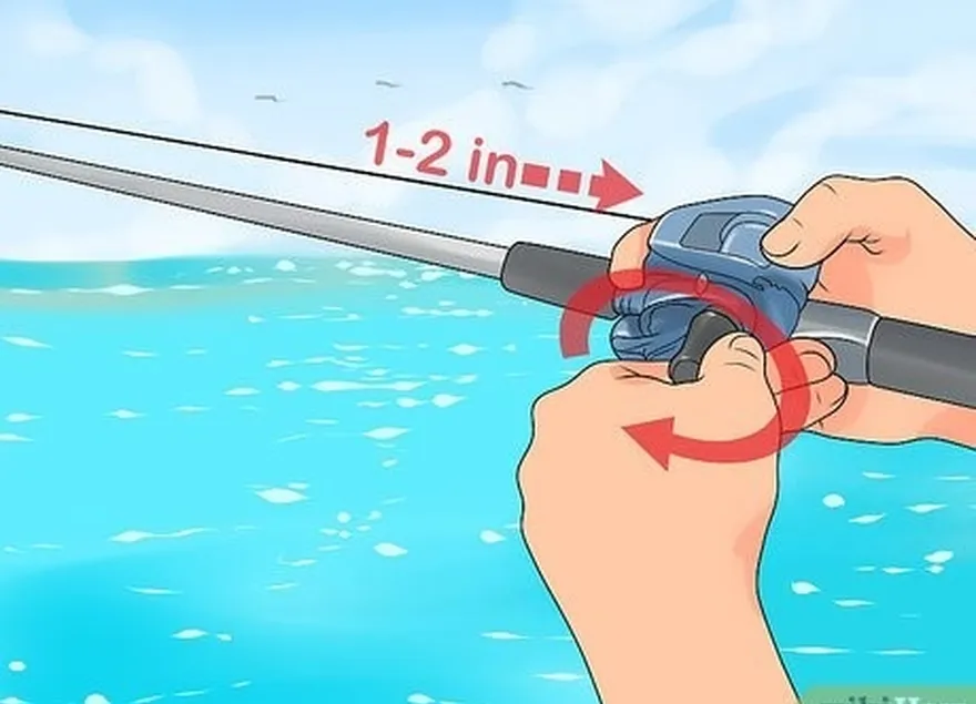 1-bosqich 1-2 dyuym (2.5-5.1 sm) va agar siz bo'lsa't get any bites.