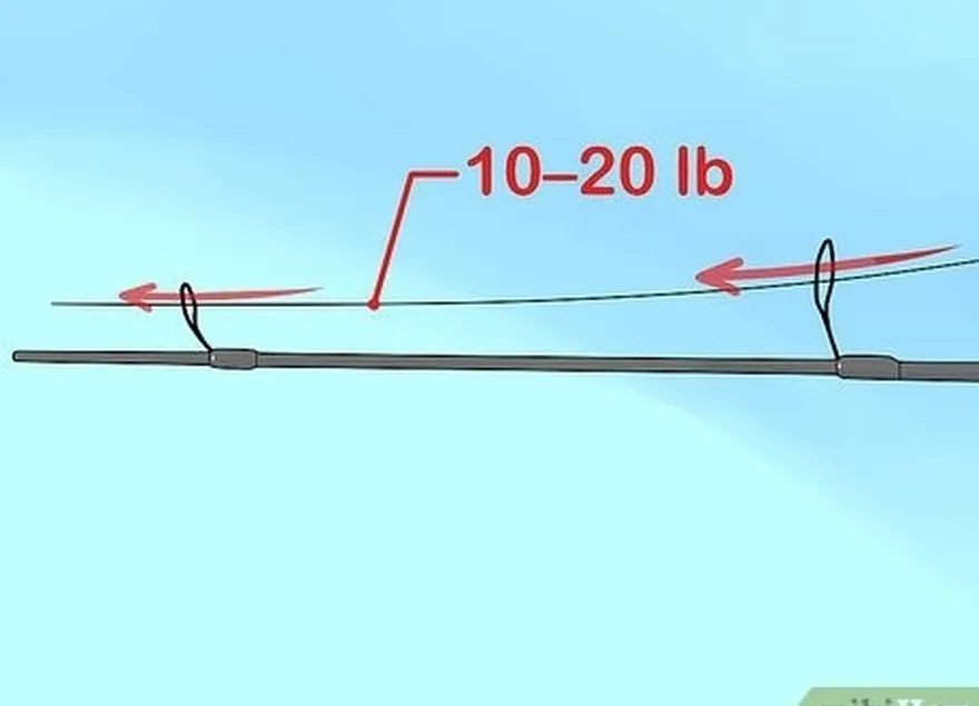 2-qadam 35 funt (4.5-9,1 kg) sizning qutbingizdagi qovoqlari orqali bog'langan chiziq.