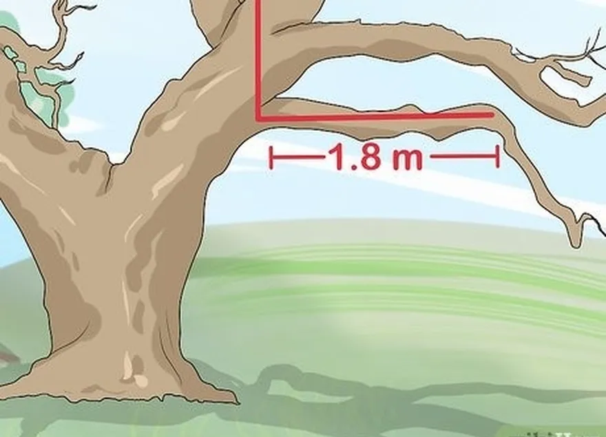 3-qadam erga parallel bo'lgan uzun filialni toping.