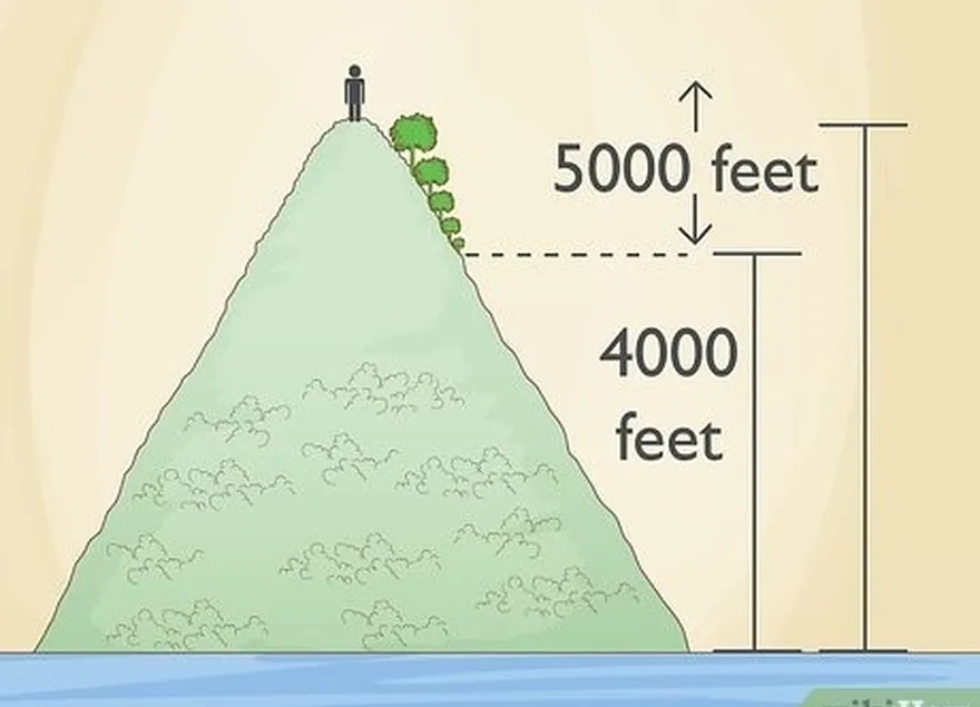 3-qadam agar siz zaharli sumakdan ehtiyot bo'ling're at a low elevation.