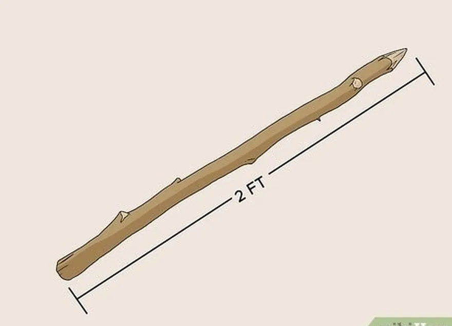 6-qadam 2 fut (0,61 m) tayanch tayoqchasining uchini o'tkirlashtiradi.