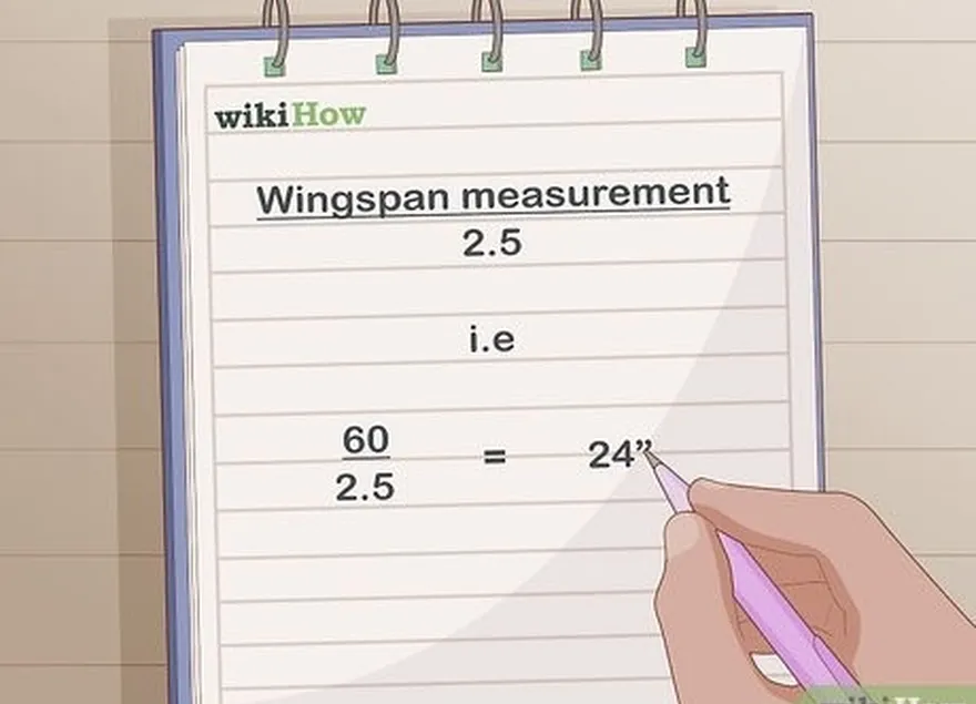 4-qadam wingspaniyani o'lchashni 2,5 ga ajrating.